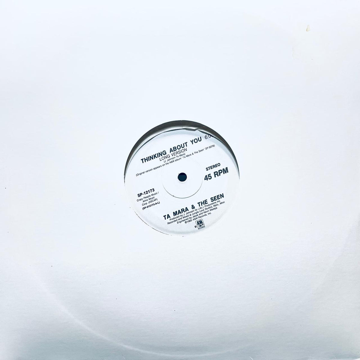 Ta Mara & The Seen – Thinking About You (VG+) BOX31