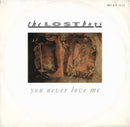 The Lost Boys – You Never Love Me (EX, Funda VG+) BoxE2