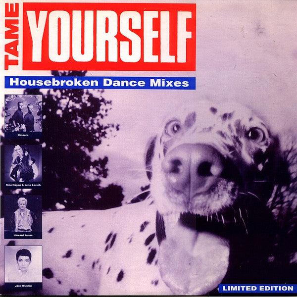 Various – Tame Yourself (Housebroken Dance Mixes) (EX, Funda VG+) BoxE1