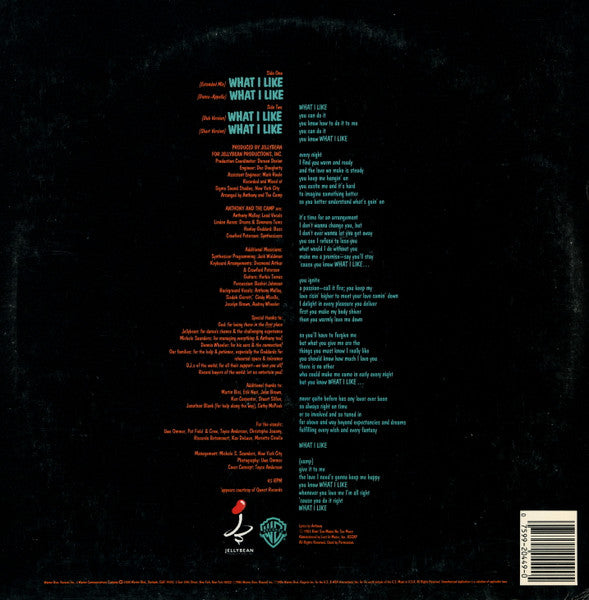 Anthony And The Camp – What I Like (NM, FUNDA VG+) BOX7