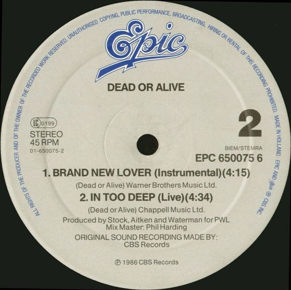 Dead Or Alive – Brand New Lover (NM, FUNDA EX) BOX1
