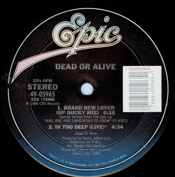 Dead Or Alive – Brand New Lover (NM) BOX7