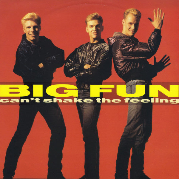 Big Fun – Can't Shake The Feeling (VG+) Box 17