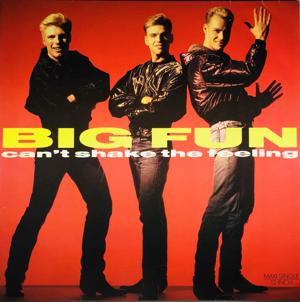 Big Fun ‎– Can't Shake The Feeling (NM, Funda VG+) Box10