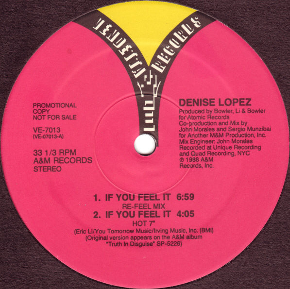 Denise Lopez – If You Feel It (VG+, Funda Generic) Box24