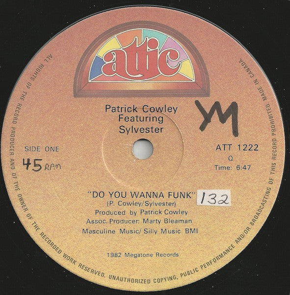 Patrick Cowley Featuring Sylvester – Do You Wanna Funk (VG+, Funda Generic) Box15