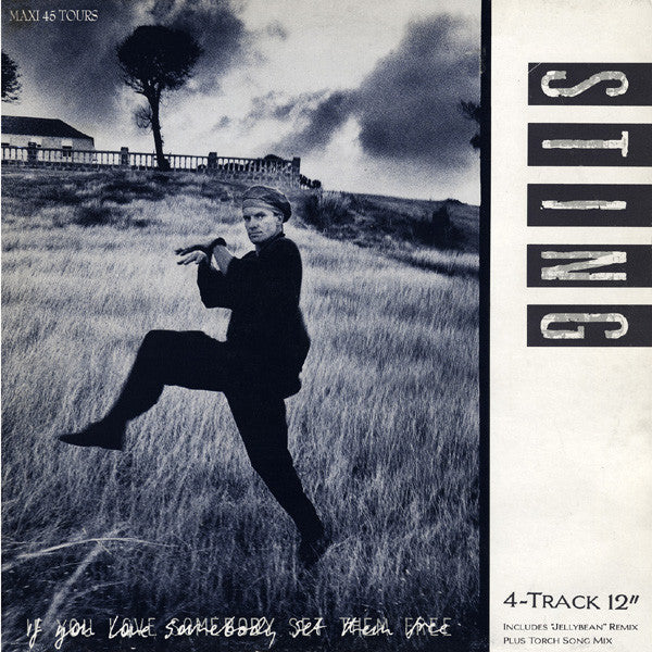 Sting – If You Love Somebody Set Them Free (NM, Funda VG+) Box5