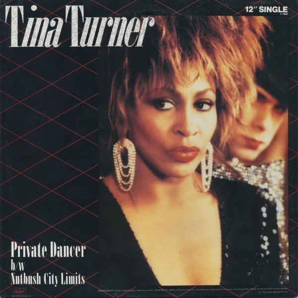 Tina Turner – Private Dancer (VG+) Box19